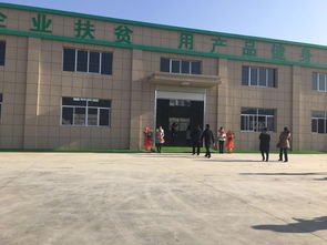 陕西石泉珍爱农产品加工厂项目正式竣工,蚕桑产业发展迎新机遇