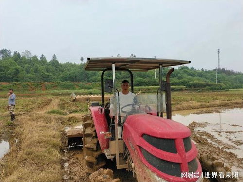 劳动创造幸福 奋斗成就梦想 记衡阳市劳动模范匡爱平