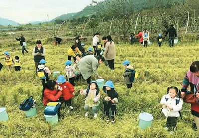 湖南津市:在家门口吃上“旅游饭”